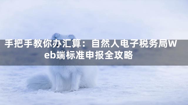 手把手教你办汇算：自然人电子税务局Web端标准申报全攻略