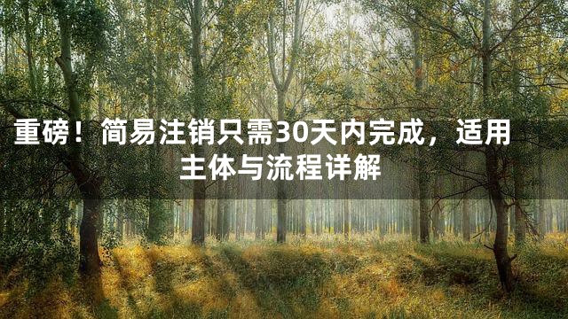 重磅！简易注销只需30天内完成，适用主体与流程详解