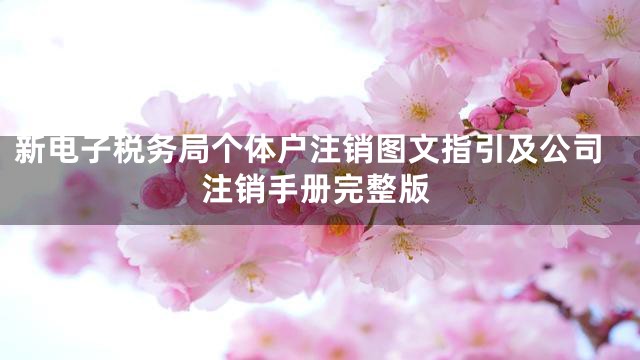 新电子税务局个体户注销图文指引及公司注销手册完整版