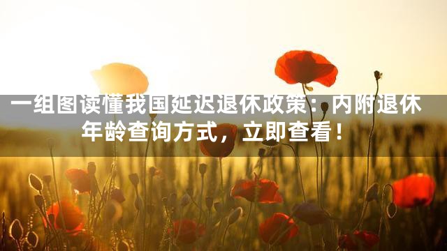一组图读懂我国延迟退休政策：内附退休年龄查询方式，立即查看！