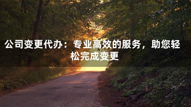 公司变更代办：专业高效的服务，助您轻松完成变更