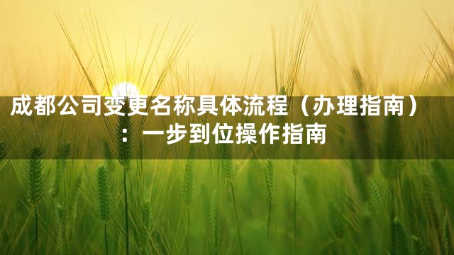 成都公司变更名称具体流程（办理指南）：一步到位操作指南