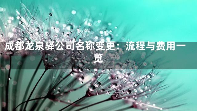 成都龙泉驿公司名称变更：流程与费用一览