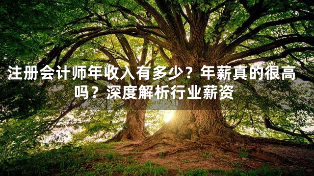 注册会计师年收入有多少？年薪真的很高吗？深度解析行业薪资