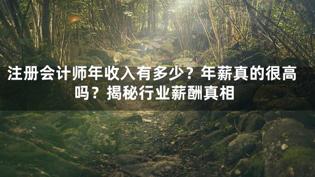 注册会计师年收入有多少？年薪真的很高吗？揭秘行业薪酬真相