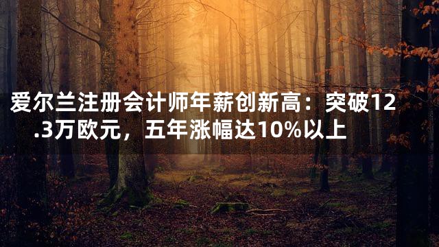 爱尔兰注册会计师年薪创新高：突破12.3万欧元，五年涨幅达10%以上