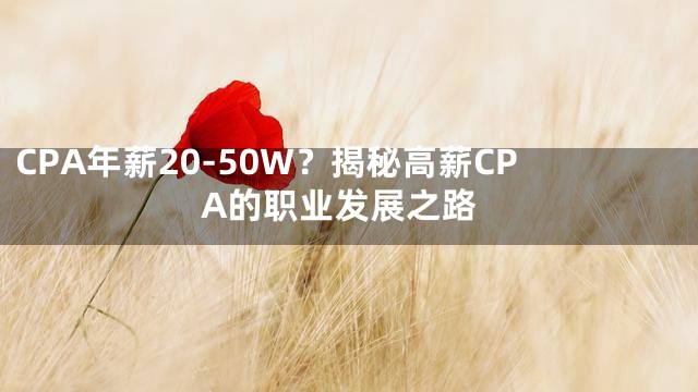 CPA年薪20-50W？揭秘高薪CPA的职业发展之路