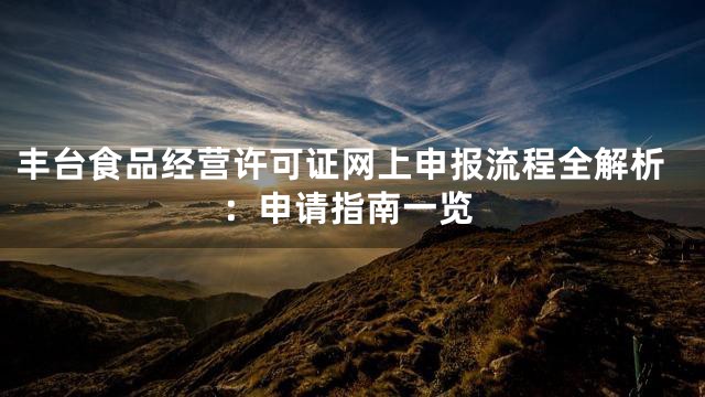 丰台食品经营许可证网上申报流程全解析：申请指南一览