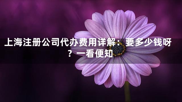 上海注册公司代办费用详解：要多少钱呀？一看便知