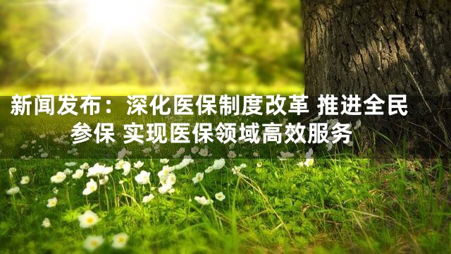 新闻发布：深化医保制度改革 推进全民参保 实现医保领域高效服务
