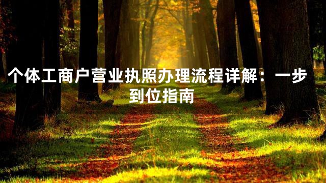 个体工商户营业执照办理流程详解：一步到位指南