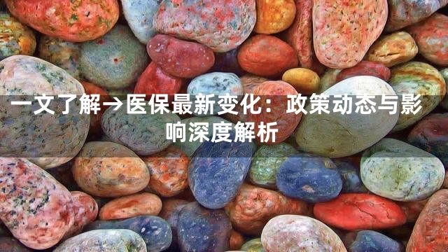 一文了解→医保最新变化：政策动态与影响深度解析