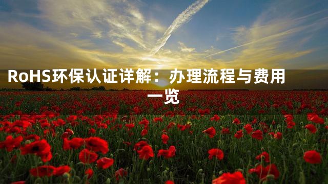 RoHS环保认证详解：办理流程与费用一览