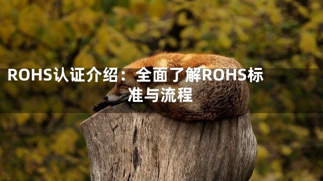 ROHS认证介绍：全面了解ROHS标准与流程