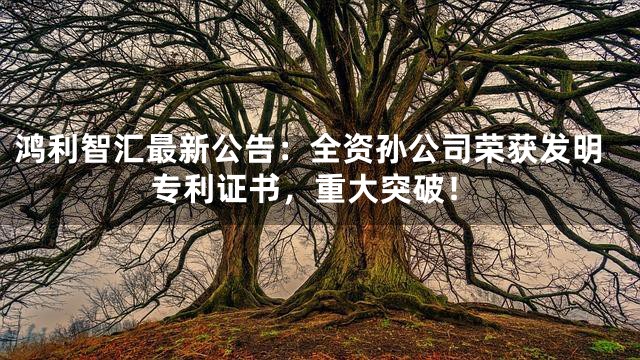 鸿利智汇最新公告：全资孙公司荣获发明专利证书，重大突破！