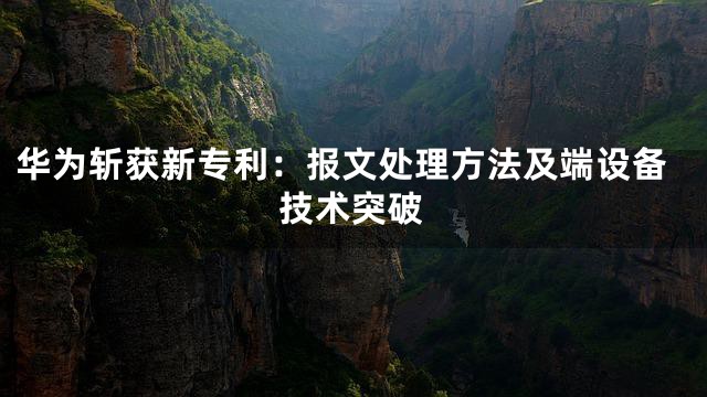 华为斩获新专利：报文处理方法及端设备技术突破