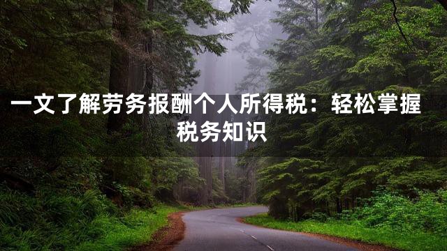 一文了解劳务报酬个人所得税：轻松掌握税务知识