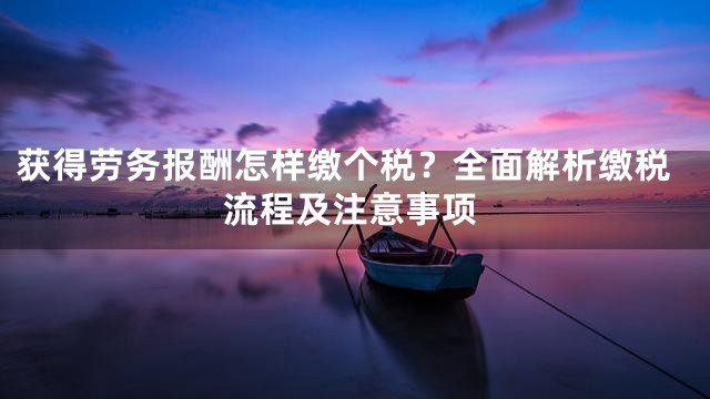 获得劳务报酬怎样缴个税？全面解析缴税流程及注意事项