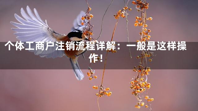 个体工商户注销流程详解：一般是这样操作！