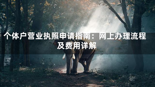 个体户营业执照申请指南：网上办理流程及费用详解
