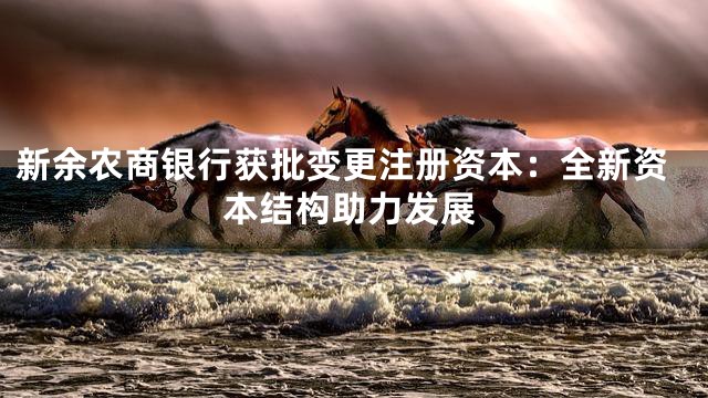 新余农商银行获批变更注册资本：全新资本结构助力发展