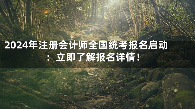 2024年注册会计师全国统考报名启动：立即了解报名详情！