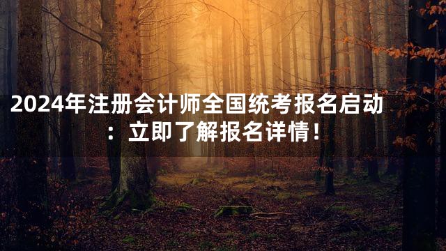 2024年注册会计师全国统考报名启动：立即了解报名详情！