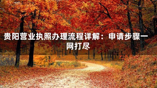 贵阳营业执照办理流程详解：申请步骤一网打尽