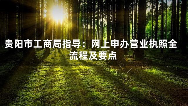 贵阳市工商局指导：网上申办营业执照全流程及要点