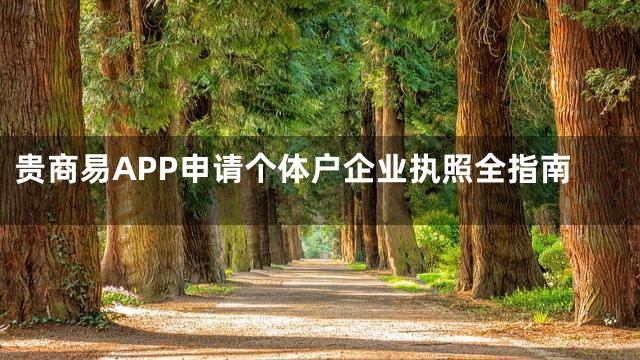 贵商易APP申请个体户企业执照全指南