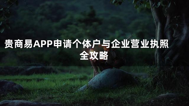 贵商易APP申请个体户与企业营业执照全攻略