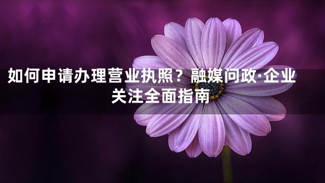 如何申请办理营业执照？融媒问政·企业关注全面指南