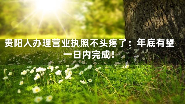 贵阳人办理营业执照不头疼了：年底有望一日内完成！