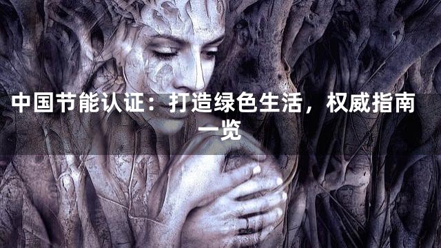 中国节能认证：打造绿色生活，权威指南一览