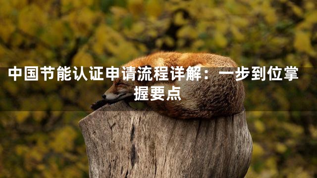 中国节能认证申请流程详解：一步到位掌握要点