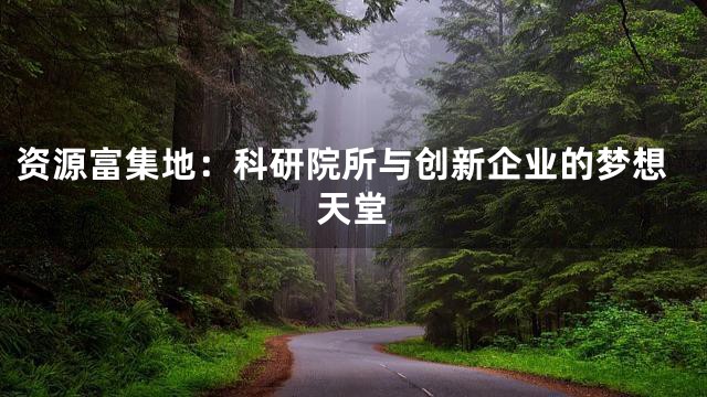 资源富集地：科研院所与创新企业的梦想天堂