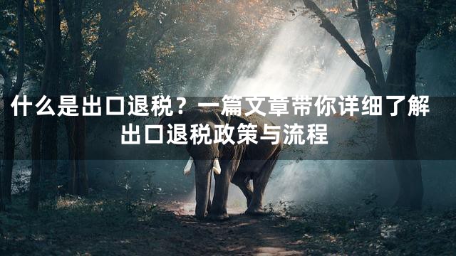 什么是出口退税？一篇文章带你详细了解出口退税政策与流程