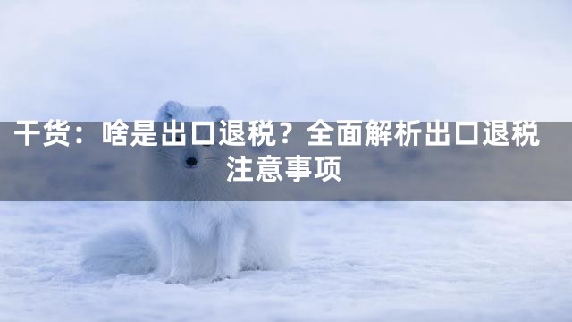 干货：啥是出口退税？全面解析出口退税注意事项