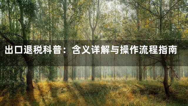 出口退税科普：含义详解与操作流程指南
