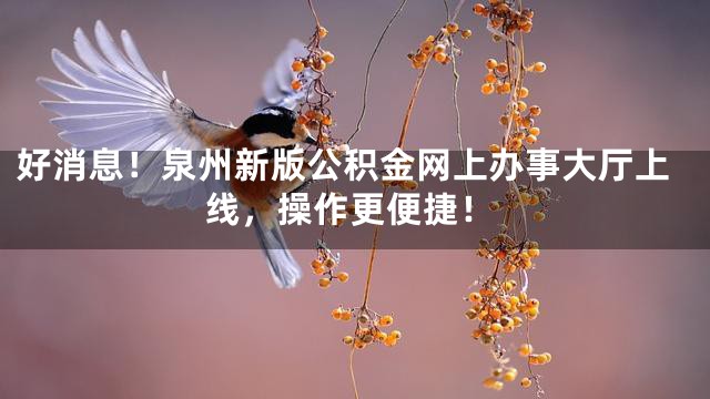 好消息！泉州新版公积金网上办事大厅上线，操作更便捷！