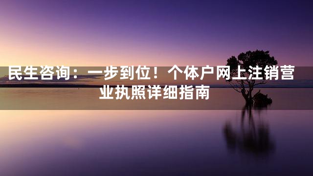 民生咨询：一步到位！个体户网上注销营业执照详细指南