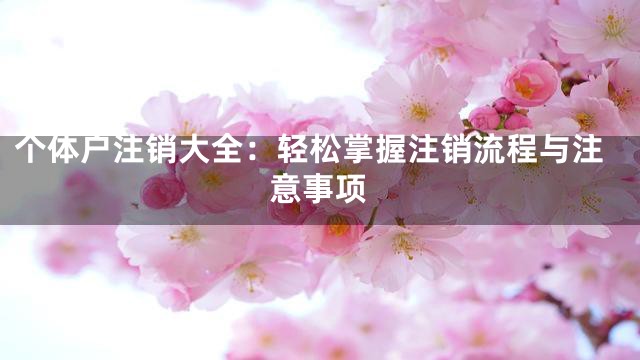 个体户注销大全：轻松掌握注销流程与注意事项