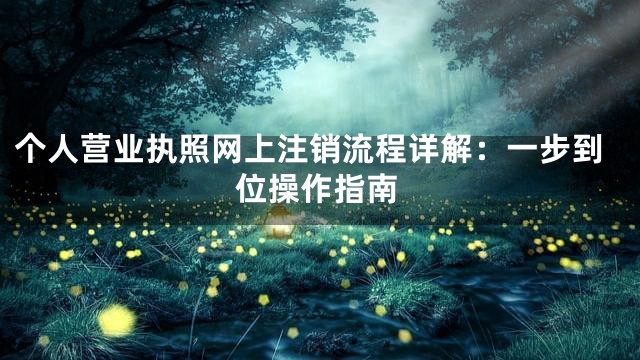 个人营业执照网上注销流程详解：一步到位操作指南