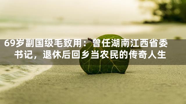 69岁副国级毛致用：曾任湖南江西省委书记，退休后回乡当农民的传奇人生