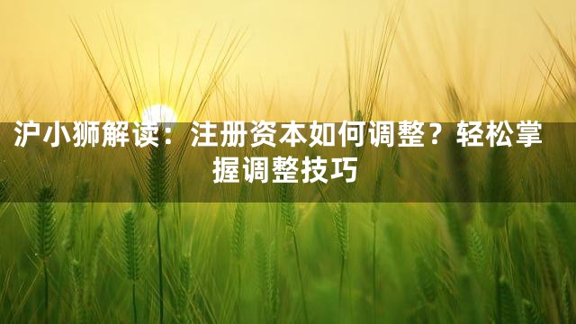 沪小狮解读：注册资本如何调整？轻松掌握调整技巧