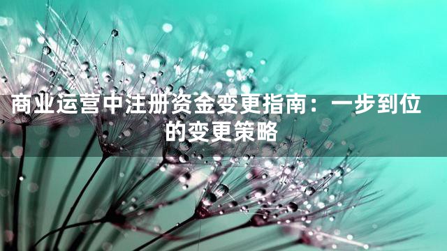 商业运营中注册资金变更指南：一步到位的变更策略