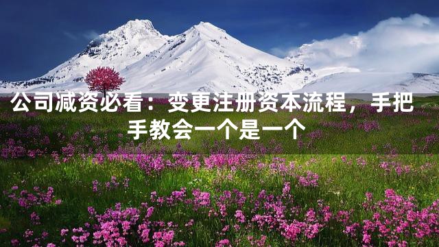 公司减资必看：变更注册资本流程，手把手教会一个是一个