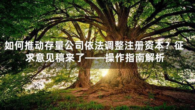 如何推动存量公司依法调整注册资本？征求意见稿来了——操作指南解析