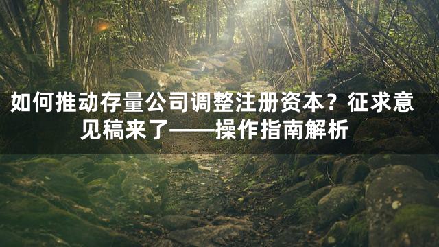 如何推动存量公司调整注册资本？征求意见稿来了——操作指南解析