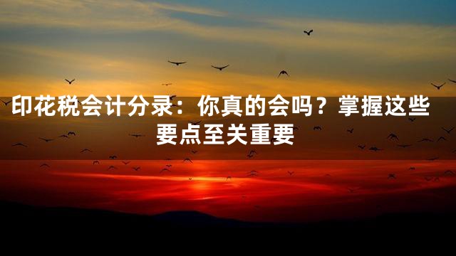 印花税会计分录：你真的会吗？掌握这些要点至关重要